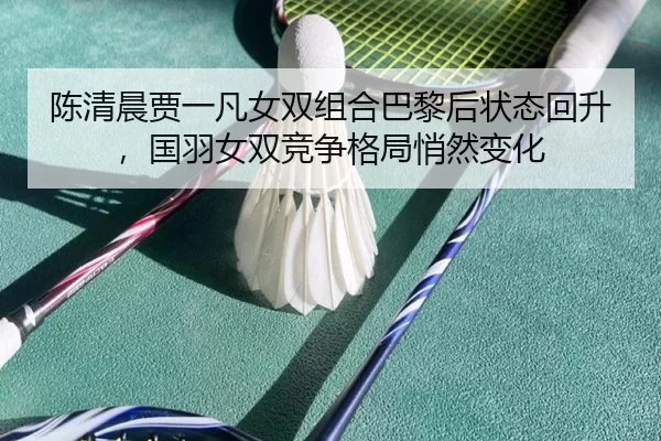 chen-qing-chen-jia-yi-fan-nv-shuang-zu-he-ba-li-hou-zhuang-tai-hui-sheng-guo-yu-nv-shuang-jing-zheng-ge-ju-qiao-ran-2-956.jpg